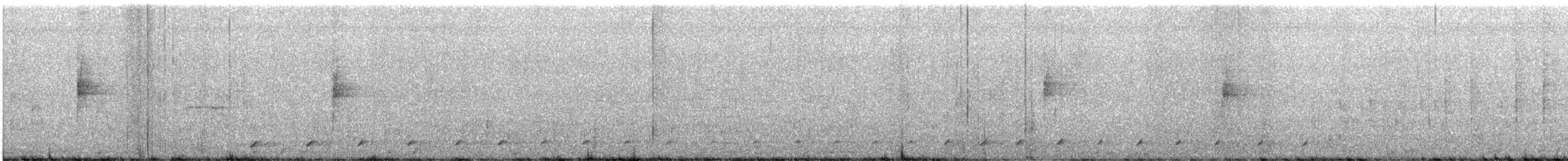 Northern Waterthrush - ML647053877