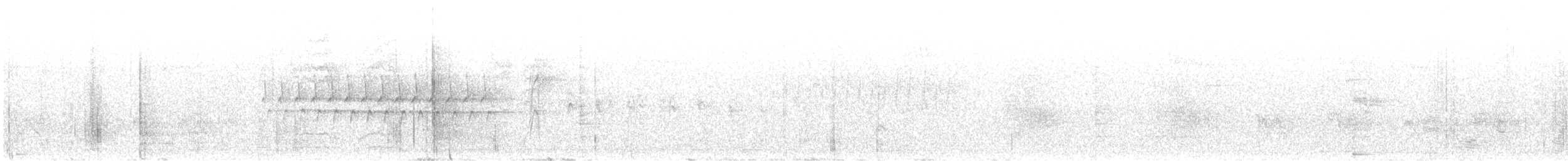 ユキヒメドリ（dorsalis） - ML647054683