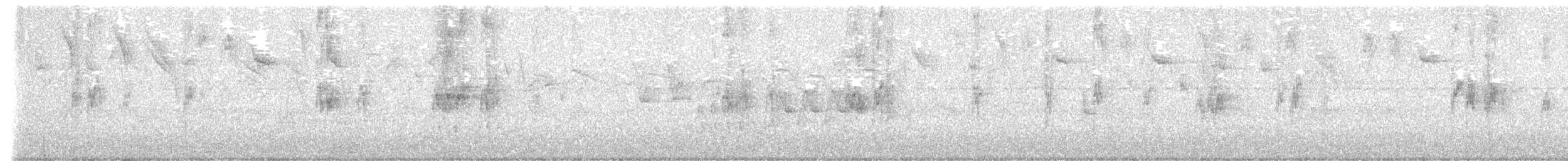 Spectacled Parrotlet - ML647055015