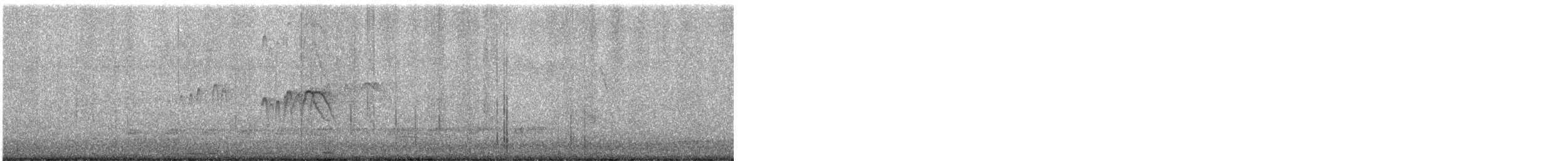 asiapalmeseiler - ML647055217