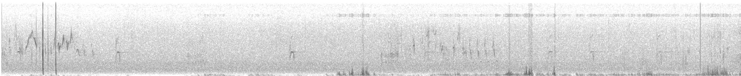 Chochín Criollo Norteño (grupo aedon) - ML647055450