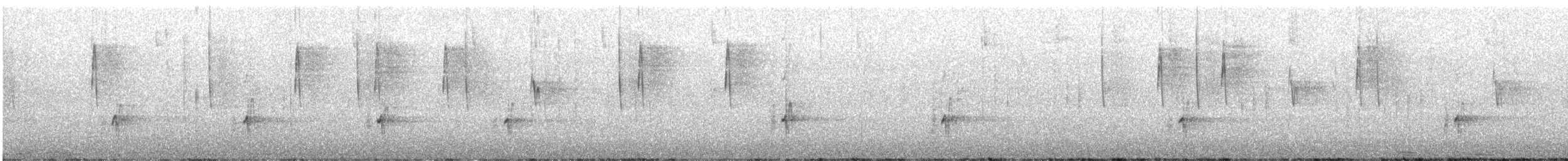 Gray Silky-flycatcher - ML647056085