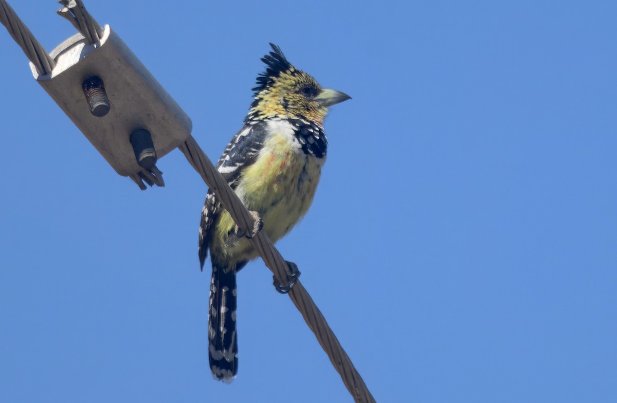 Barbican promépic - ML647057172