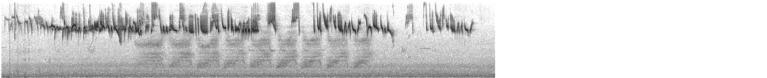 Southern Emuwren - ML647057520