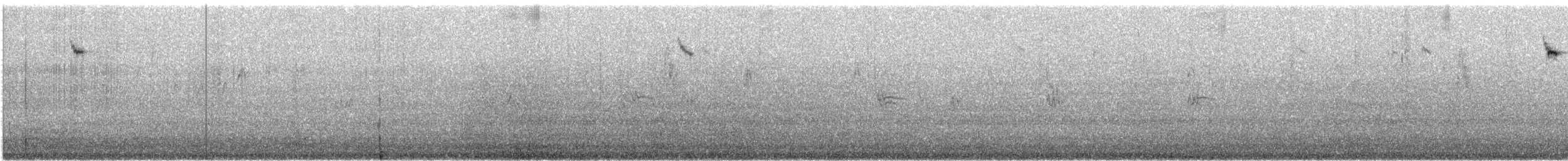 Southern Emuwren - ML647057521