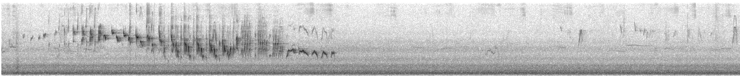 Splendid Fairywren - ML647057526