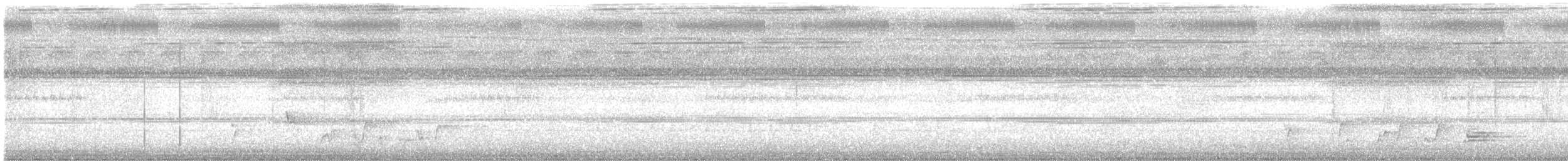 Greater Racket-tailed Drongo - ML647058159