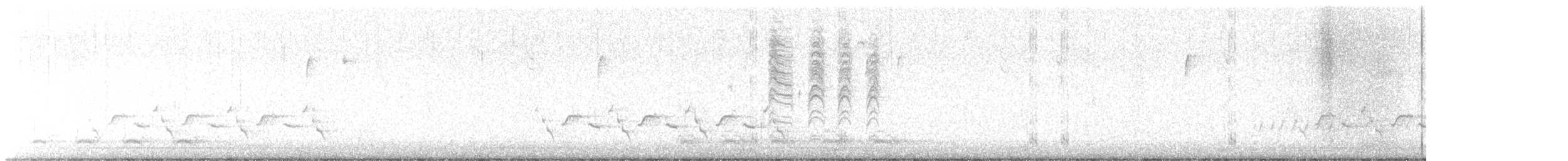 ברחשית כחלחלה - ML647058633