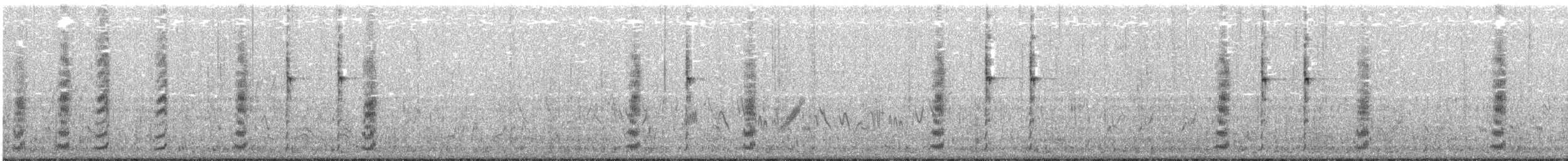 Gambel's Quail - ML647058784