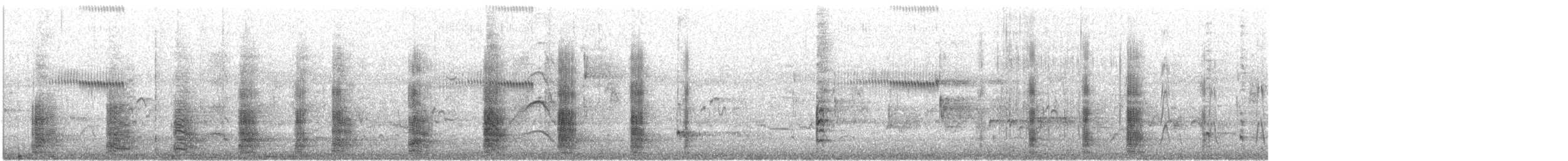 Australian Ibis - ML647058979