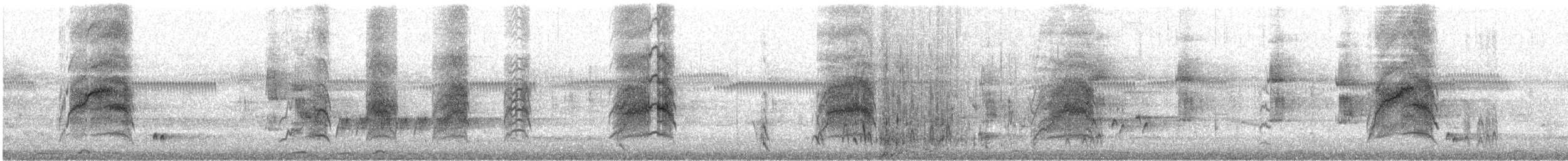 Folaga - ML647058982