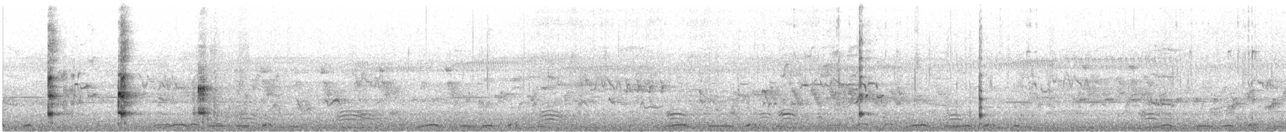 Folaga - ML647058983