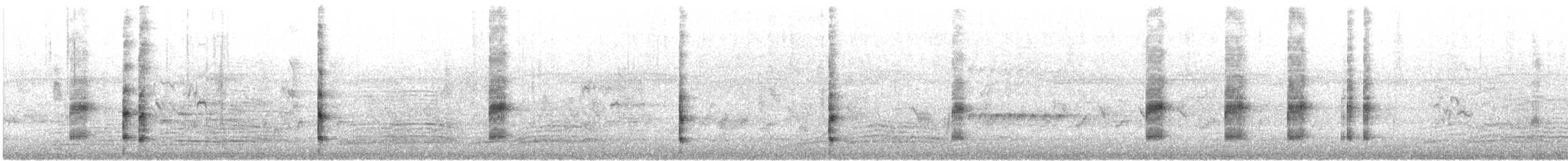 Folaga - ML647058984