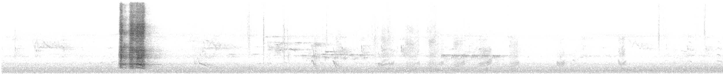 Red Wattlebird - ML647058991