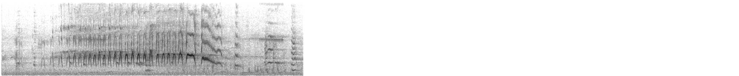 Pink-eared Duck - ML647058992