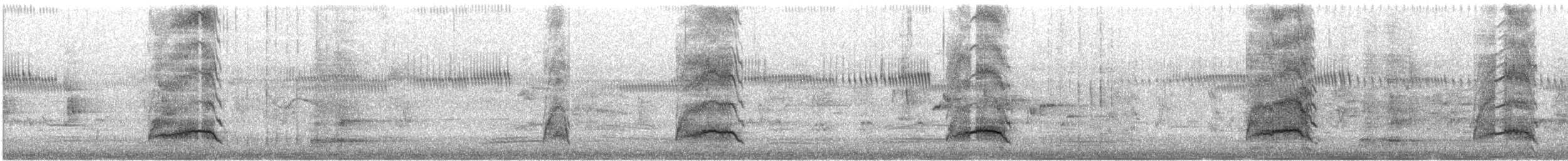 Folaga - ML647059010