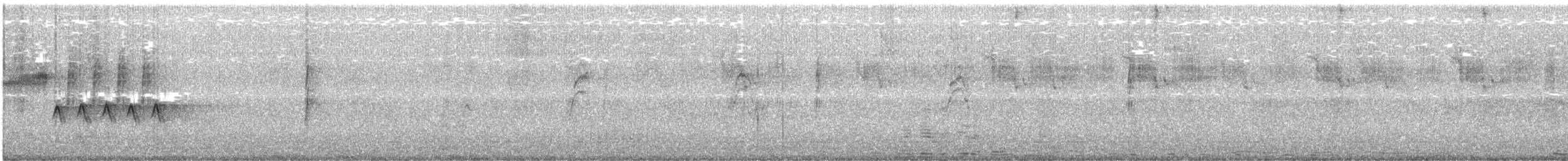 Bewick's Wren - ML647059015