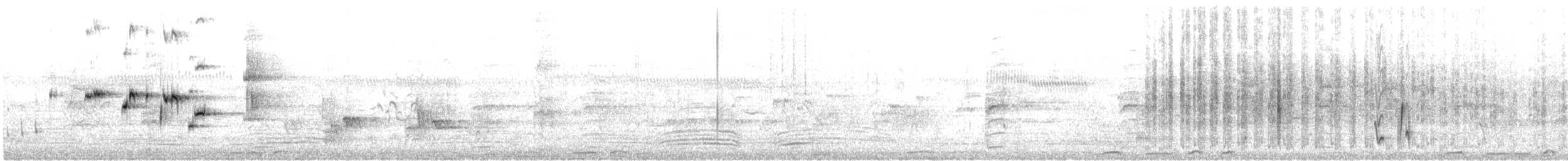 Willie-wagtail - ML647059019