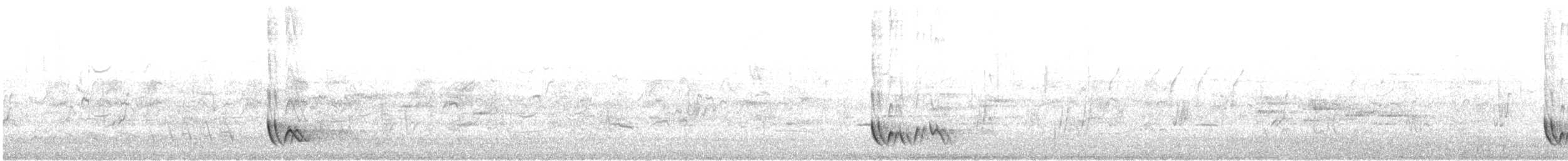 Singing Honeyeater - ML647059042