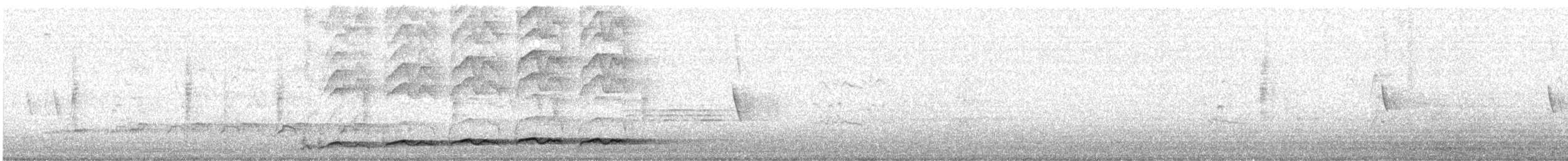 Pacific Koel (Australian) - ML647059951