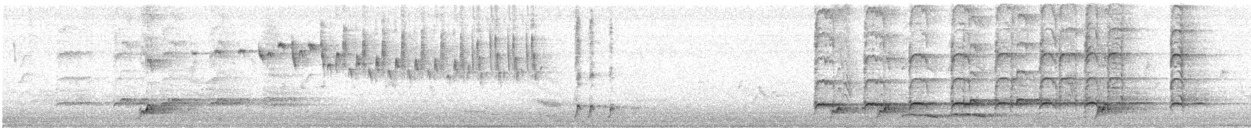 kukačka pacifická (ssp. cyanocephalus/subcyanocephalus) - ML647059952