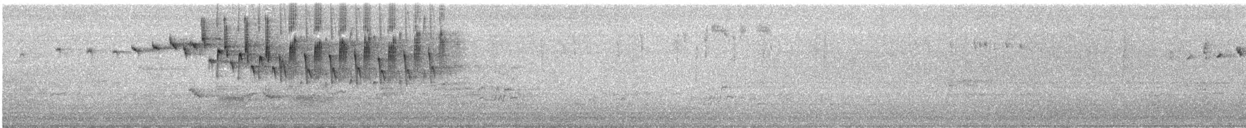 Superb Fairywren - ML647059984