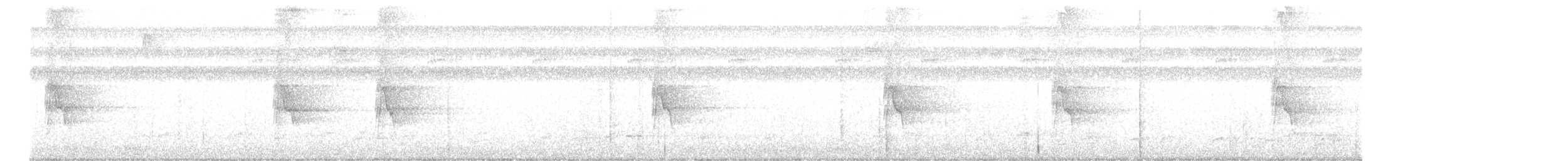 Bare-crowned Antbird - ML647060027