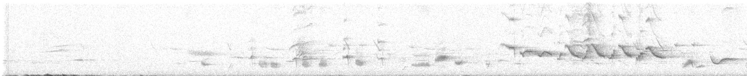 Chinese Hwamei - ML647060094