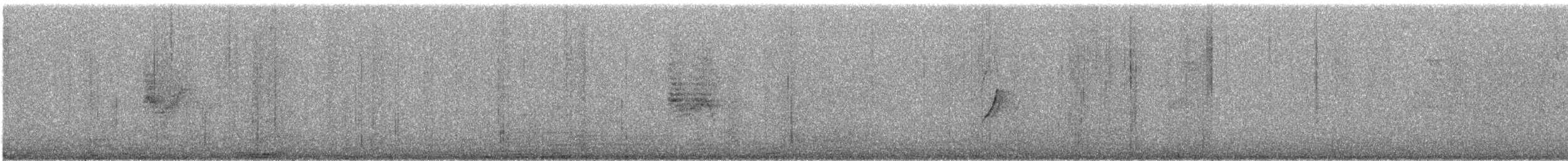 strdimil nilský - ML647060215