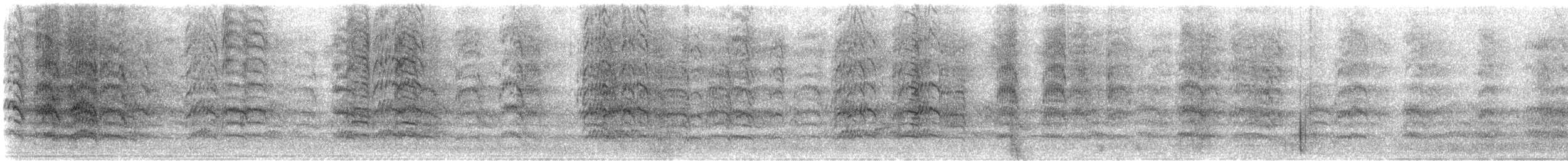 クロガミインコ - ML647060382