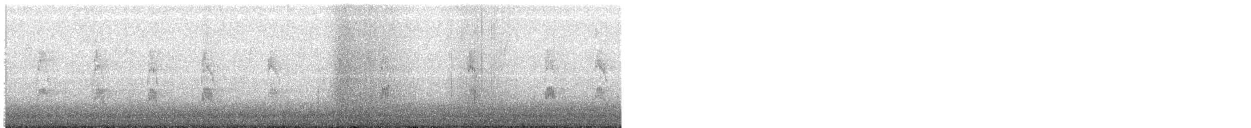 strakapoud kokardový - ML647060684