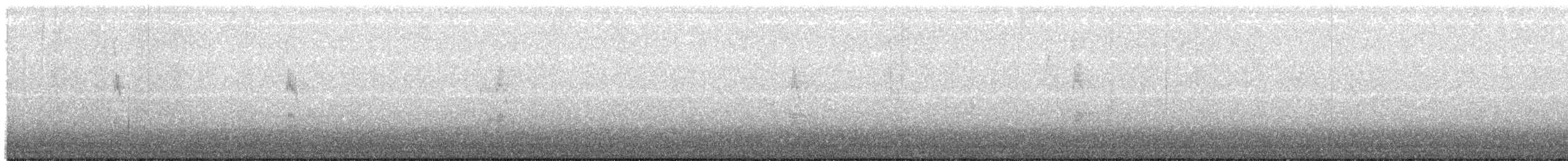 strakapoud kokardový - ML647060685