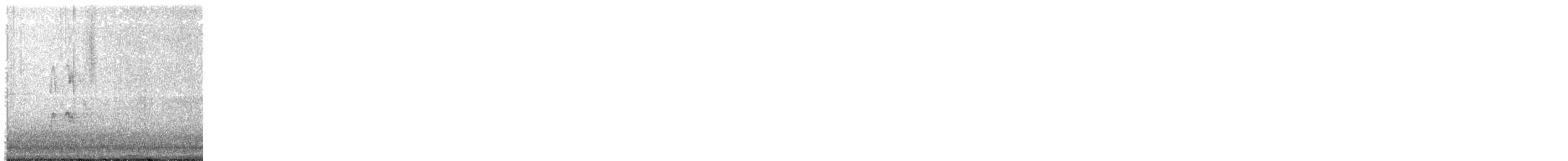 strakapoud kokardový - ML647060686