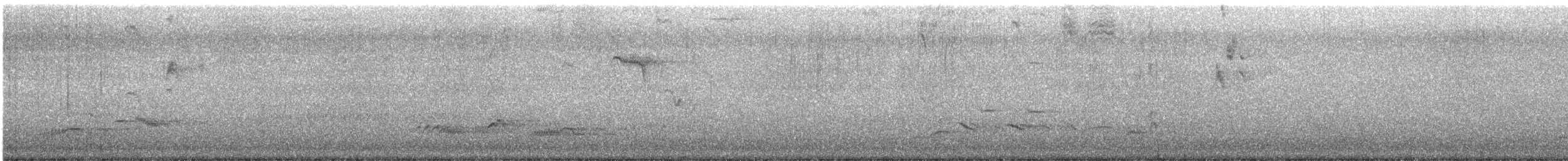 kos černý - ML647061201