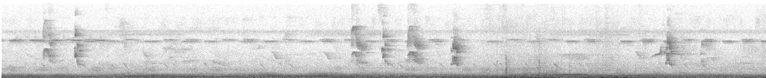 White-bearded Manakin - ML647061255