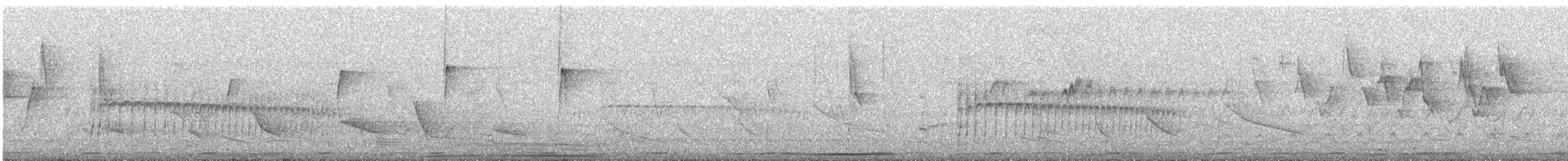 Southern Beardless-Tyrannulet - ML647061723