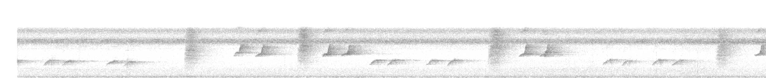 Ashy Drongo - ML647061904