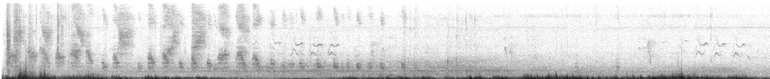 Tropical Mockingbird (Mayan) - ML647061993