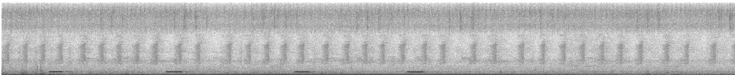 holoubek šedomodrý - ML647062337