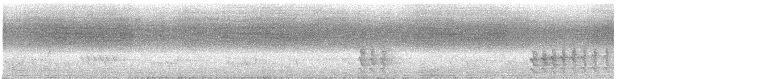 rosela pestrá - ML647062339