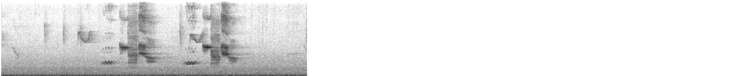 Black-collared Starling - ML647062856