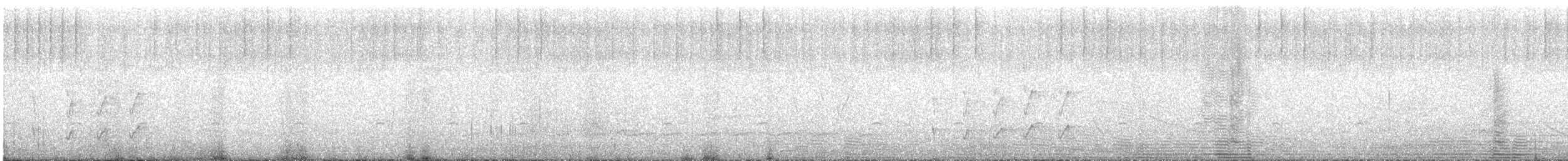 Pearly-vented Tody-Tyrant - ML647062950