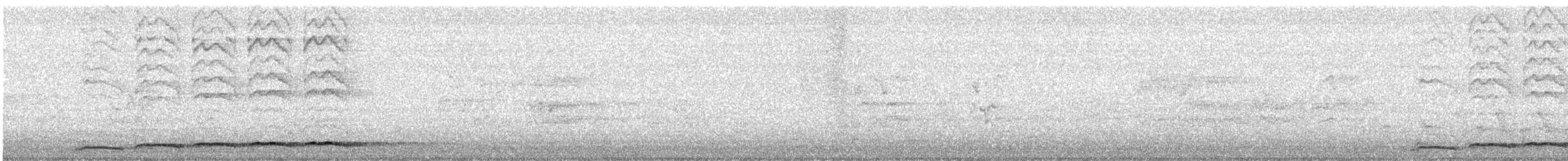 Pacific Koel (Australian) - ML647062966