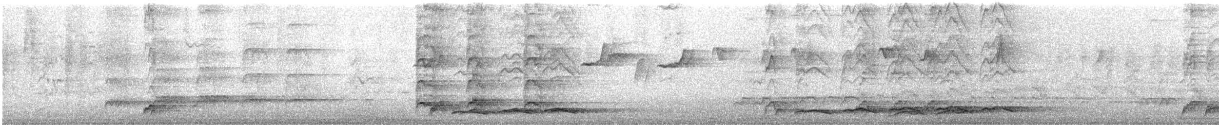 オーストラリアオニカッコウ（cyanocephalus／subcyanocephalus） - ML647062973