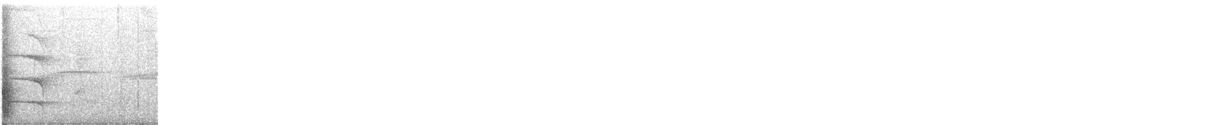 キマユコオニキバシリ - ML647062975