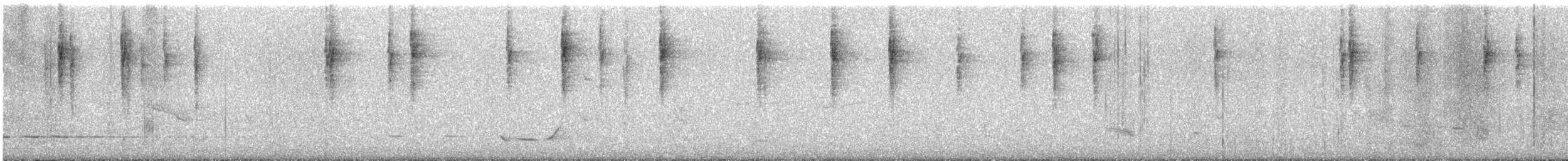 Striated Thornbill - ML647063000