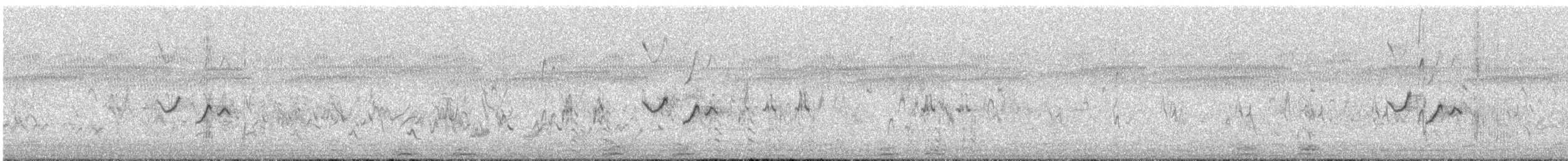 Red-rumped Parrot - ML647063159