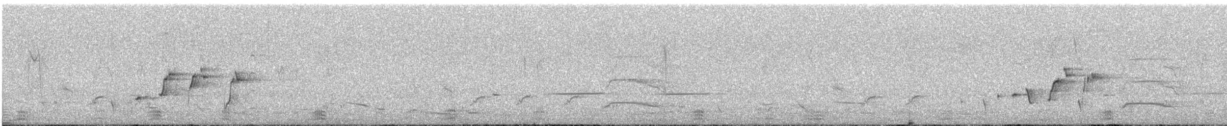 Willie-wagtail - ML647063199