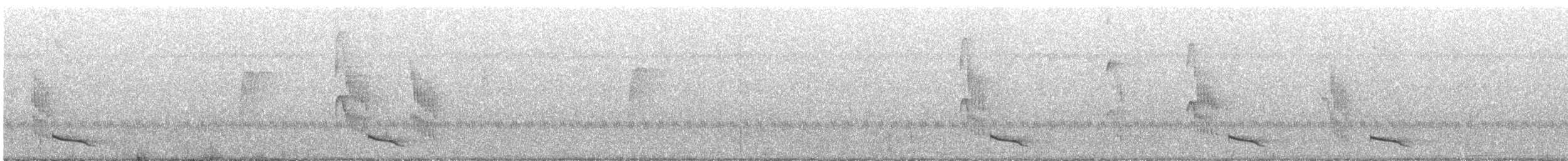 Lance-tailed Manakin - ML647063307