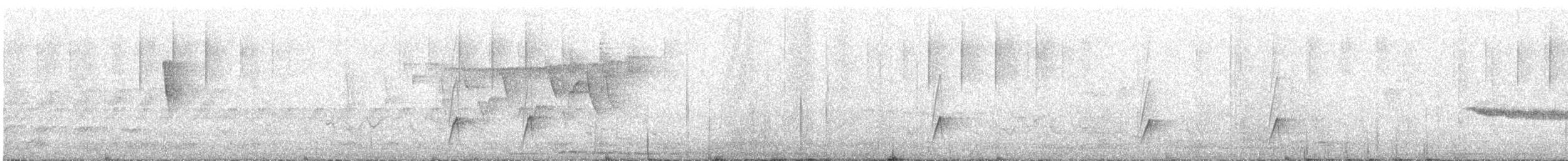 Yellow Tyrannulet - ML647063538